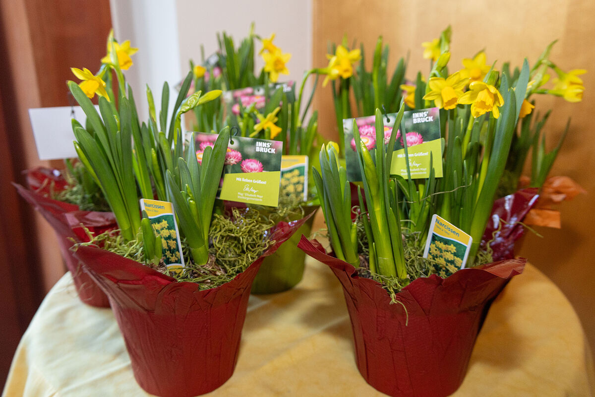 260212_Frühlingsblumen_ISD_Senior_innen_FB_3