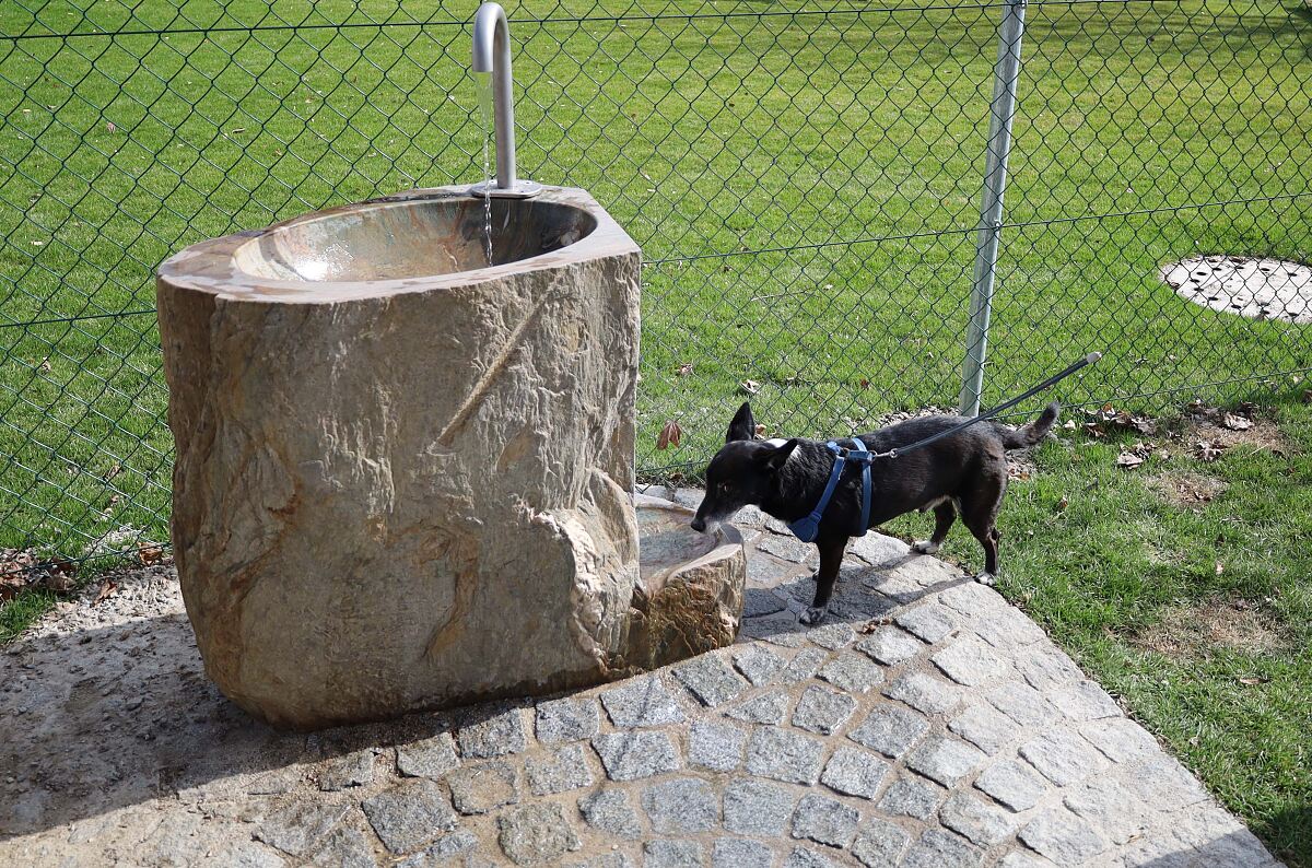 260312_Spielplatz_Stumpf_West_Brunnen_Hund_AS