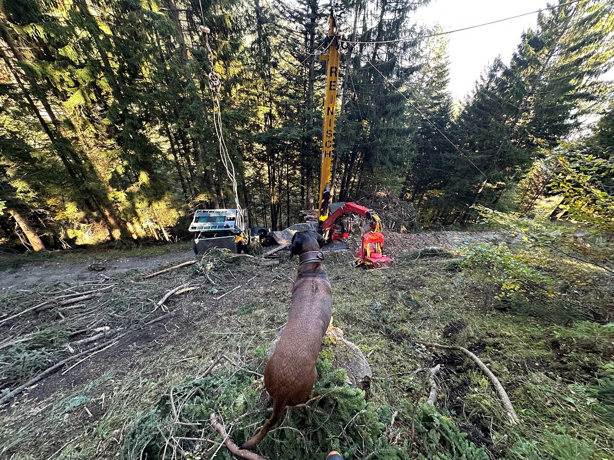 260316_Waldinformationstag_2_WaldNatur