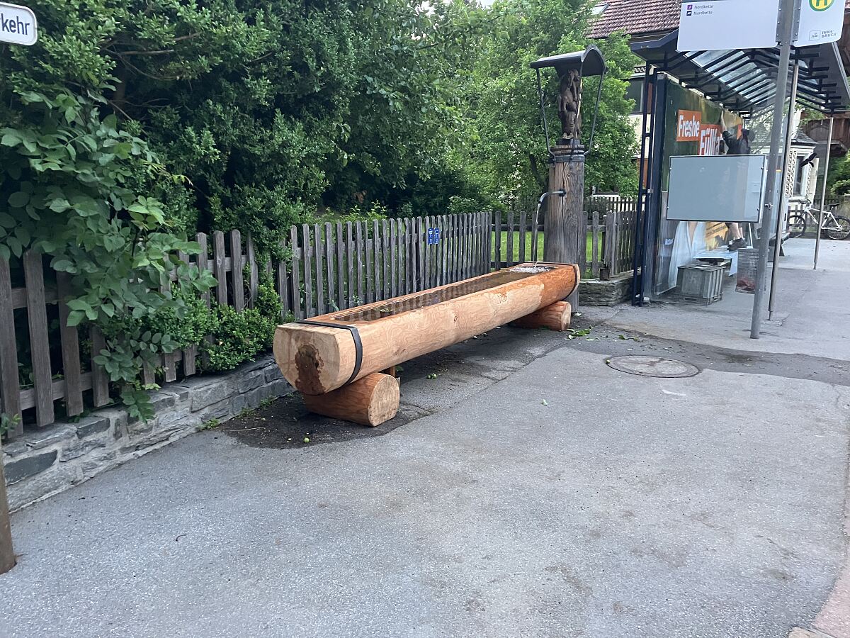 260316_Waldinformationstag_3_WaldNatur