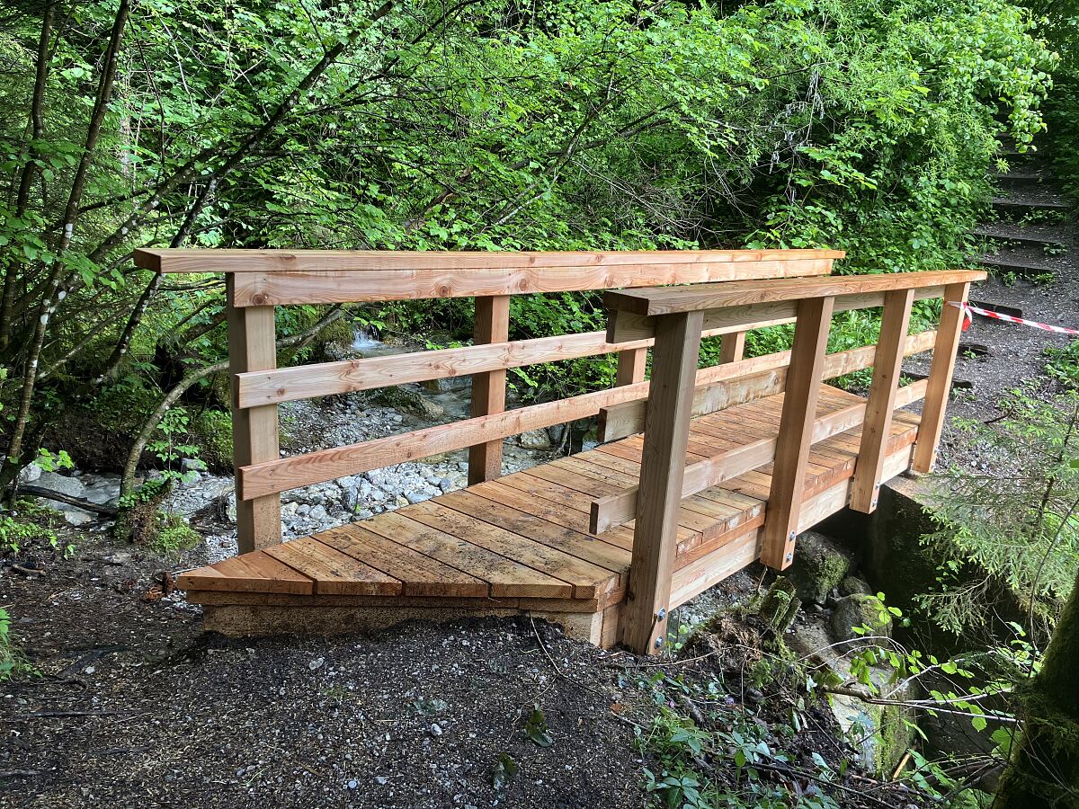 260316_Waldinformationstag_4_WaldNatur