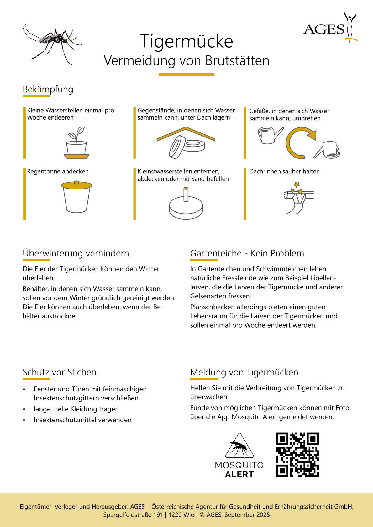 Tigermücke Vermeidung von Brutstätten