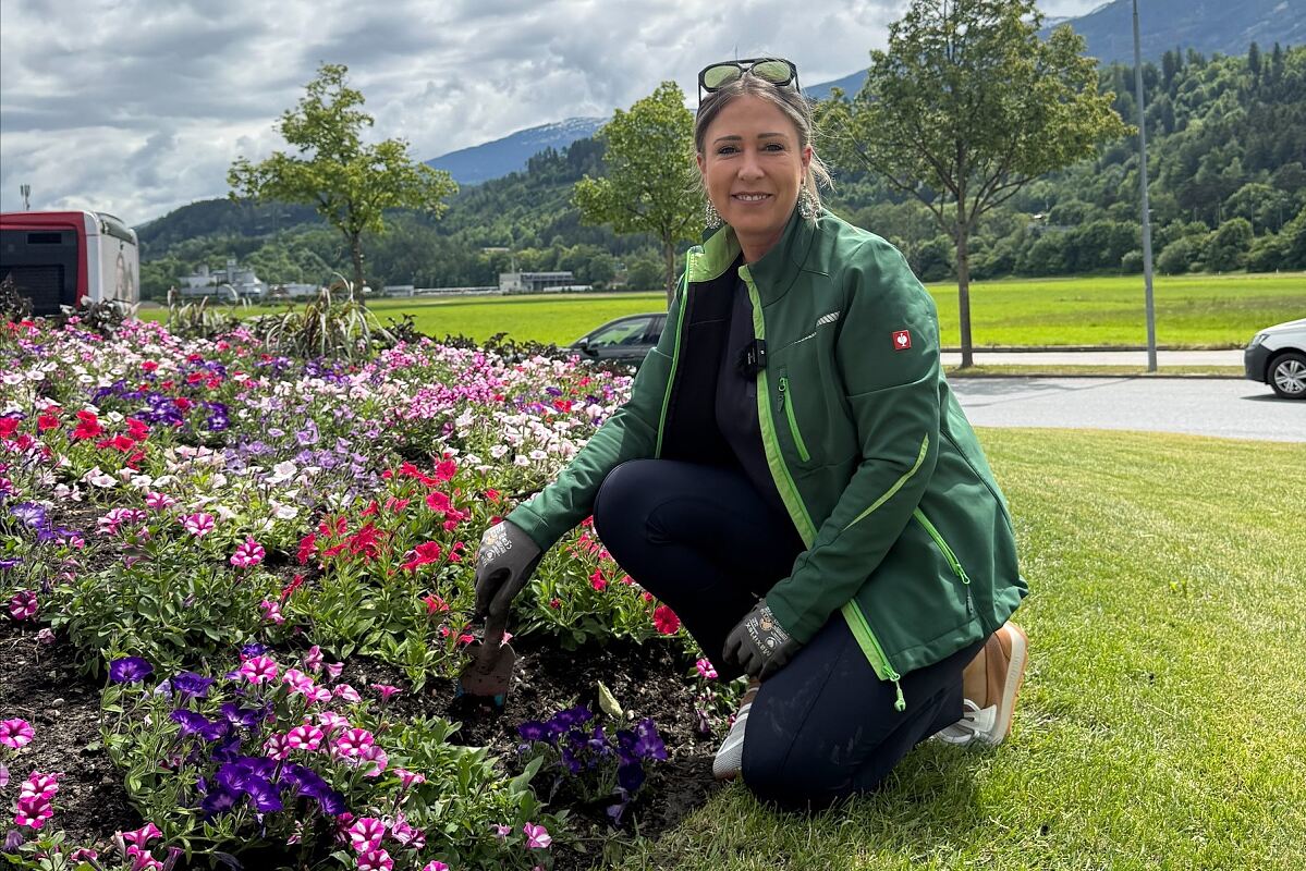 260528_Kreisverkehr_Blumen_Lutz_A.Katzlinger_quer