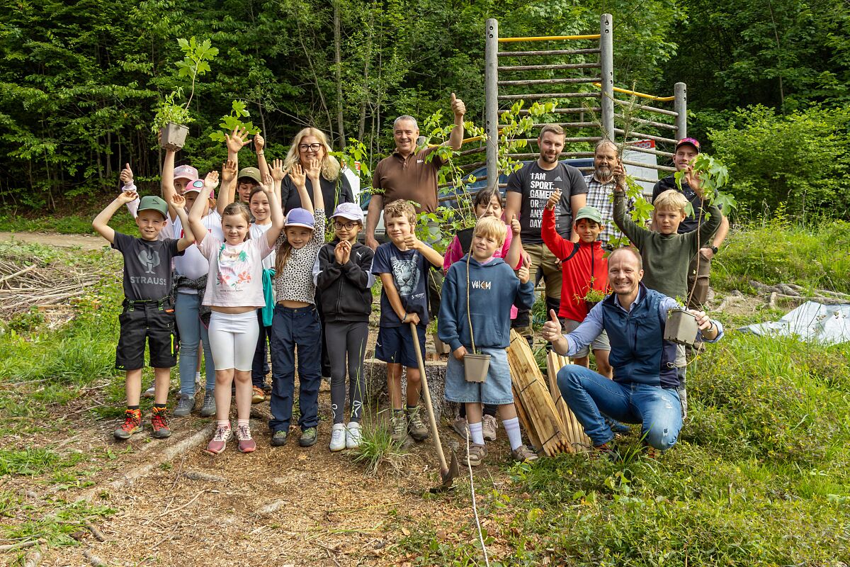 260617_Wald_Aufforstung_VS_Muehlau_1_DJ