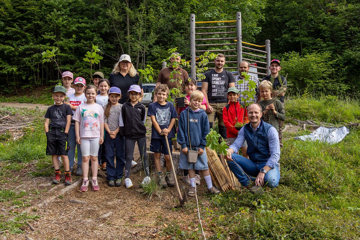 260617_Wald_Aufforstung_VS_Muehlau_2_DJ