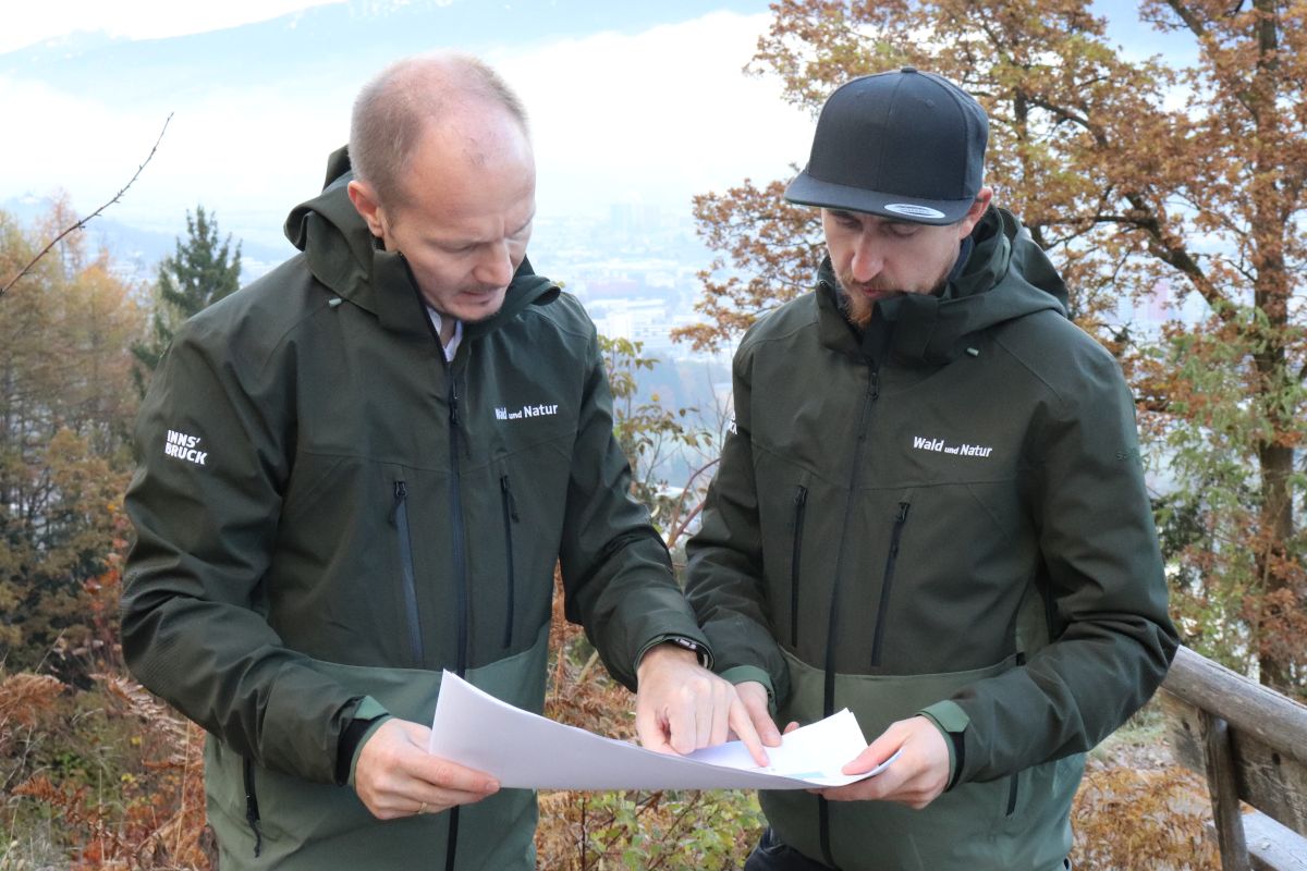 231212_zaehlstationen_wald_natur_stadt_innsbruck_2