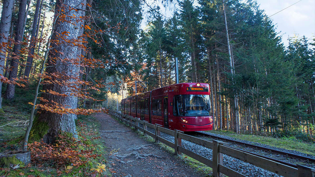 Waldstraßenbahn_Wanker