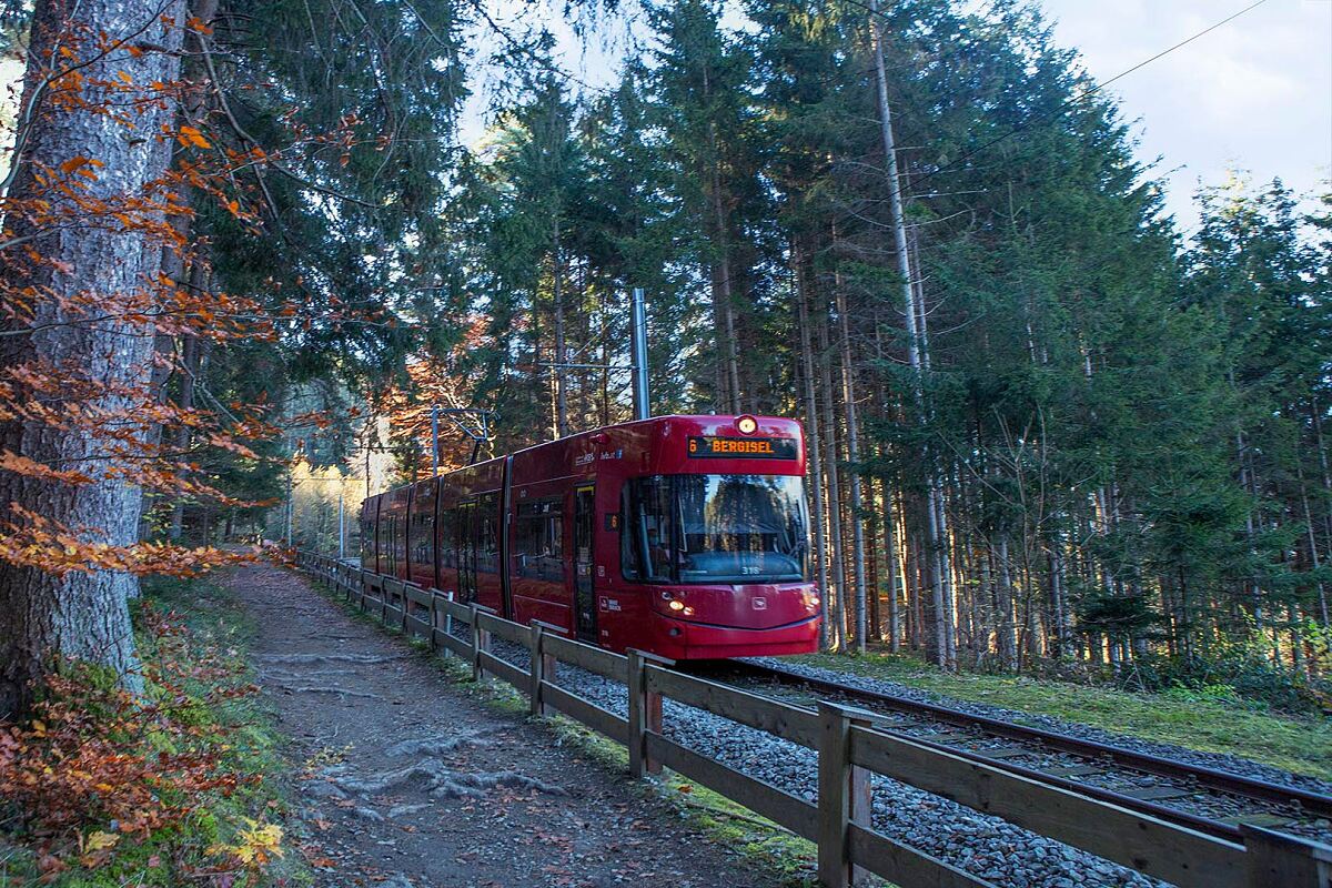 Waldstraßenbahn_Wanker