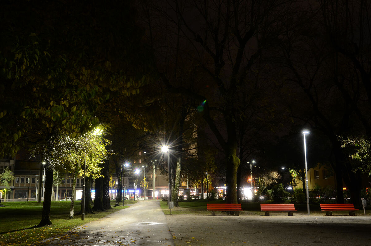 101114_rapoldipark_2