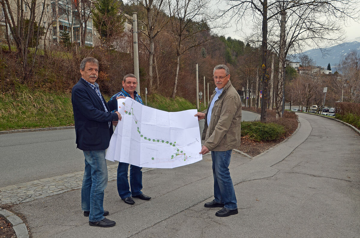 250315_gruenanlage_peerhofstrasse_aa