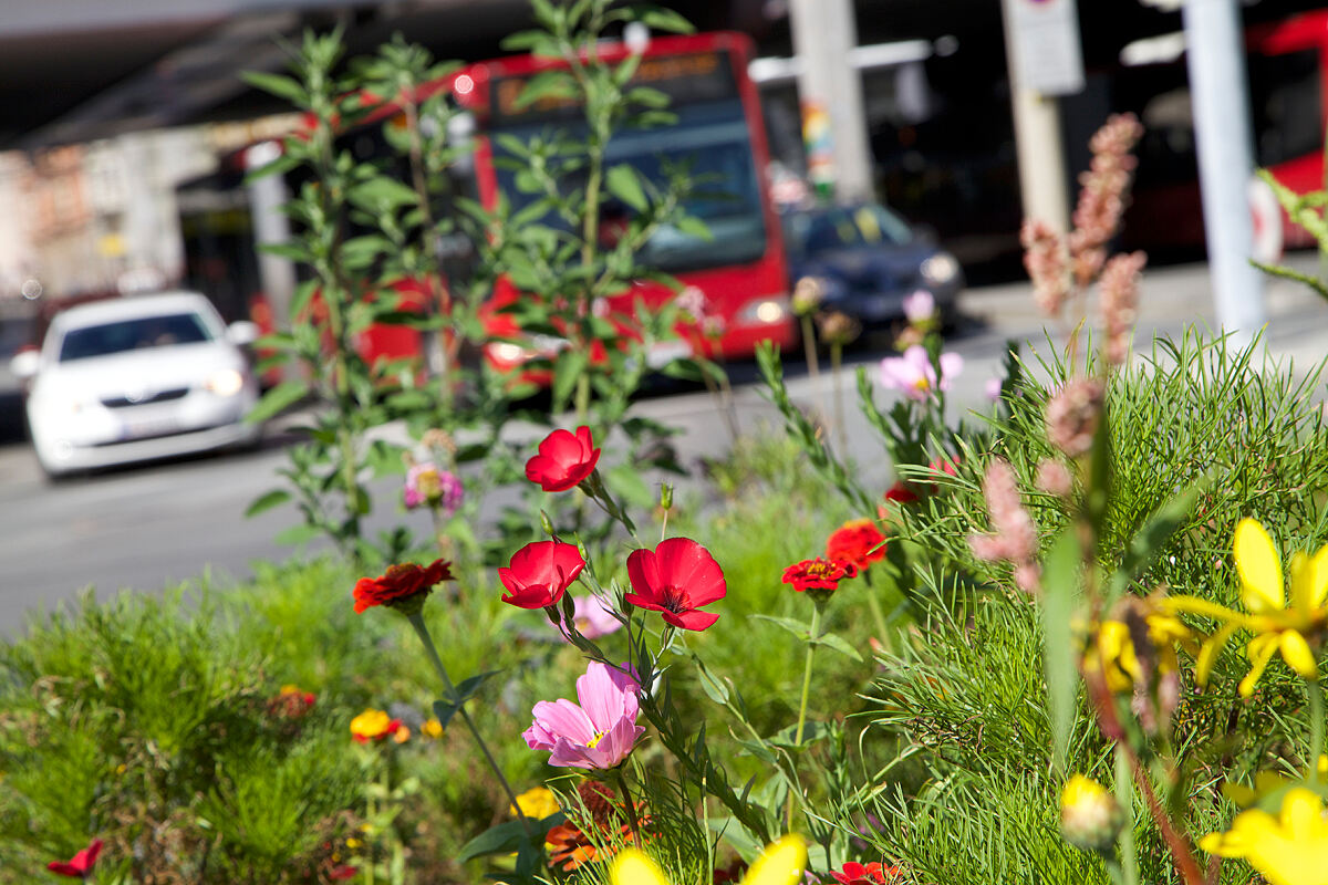 030415_biodiversitaet