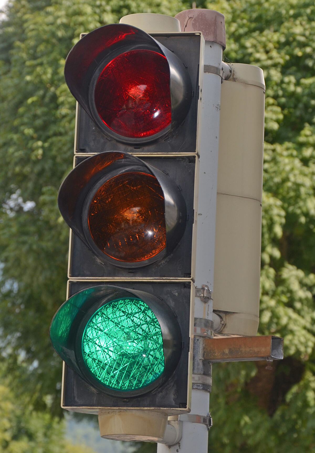 ampel-gruen-baum-im-hintergrund