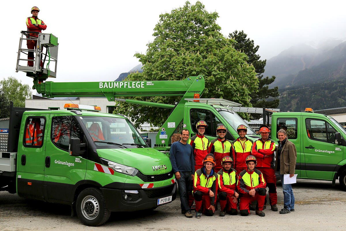 070815_baumpflegetrupp_vl