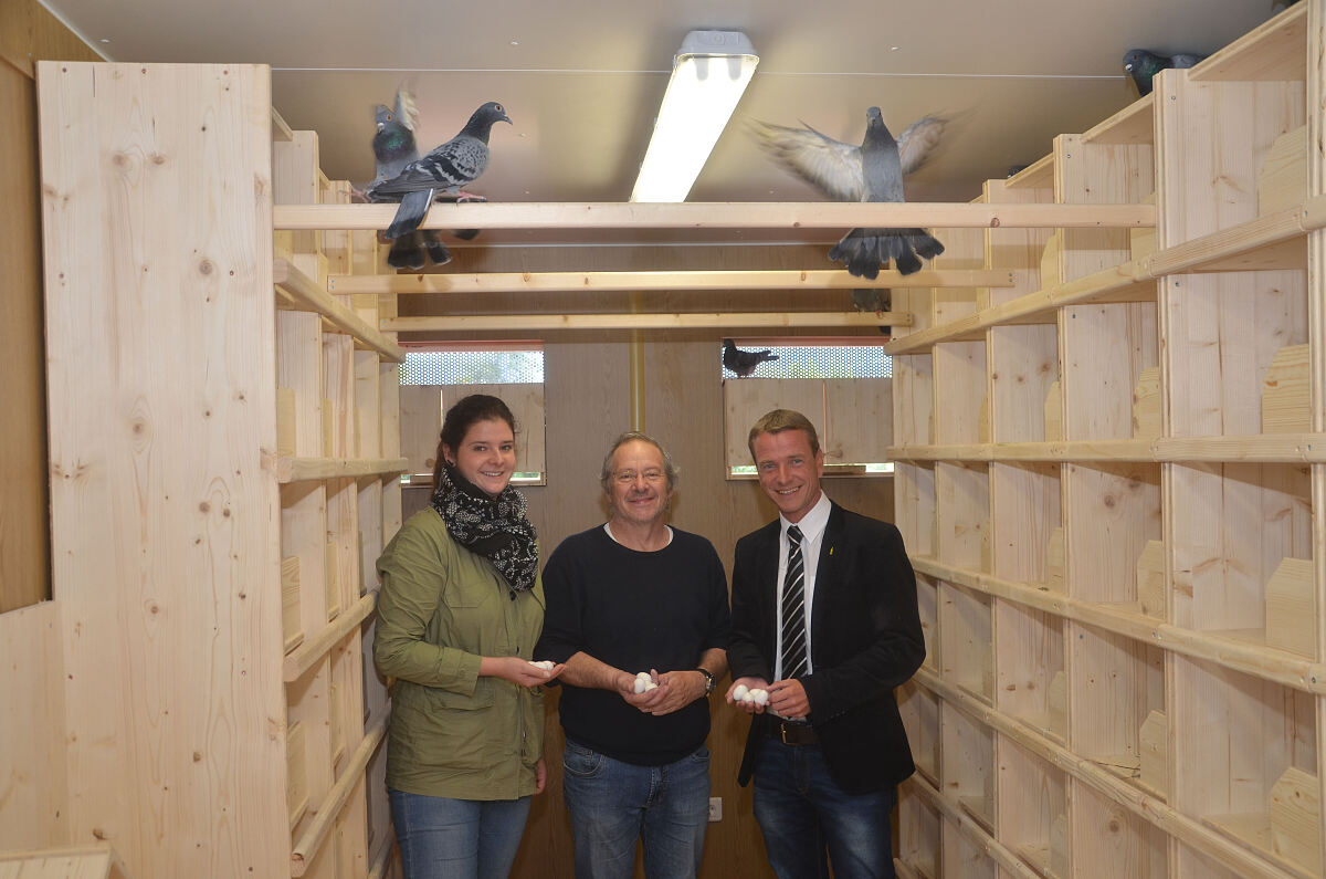 121015_taubenschlag_dh