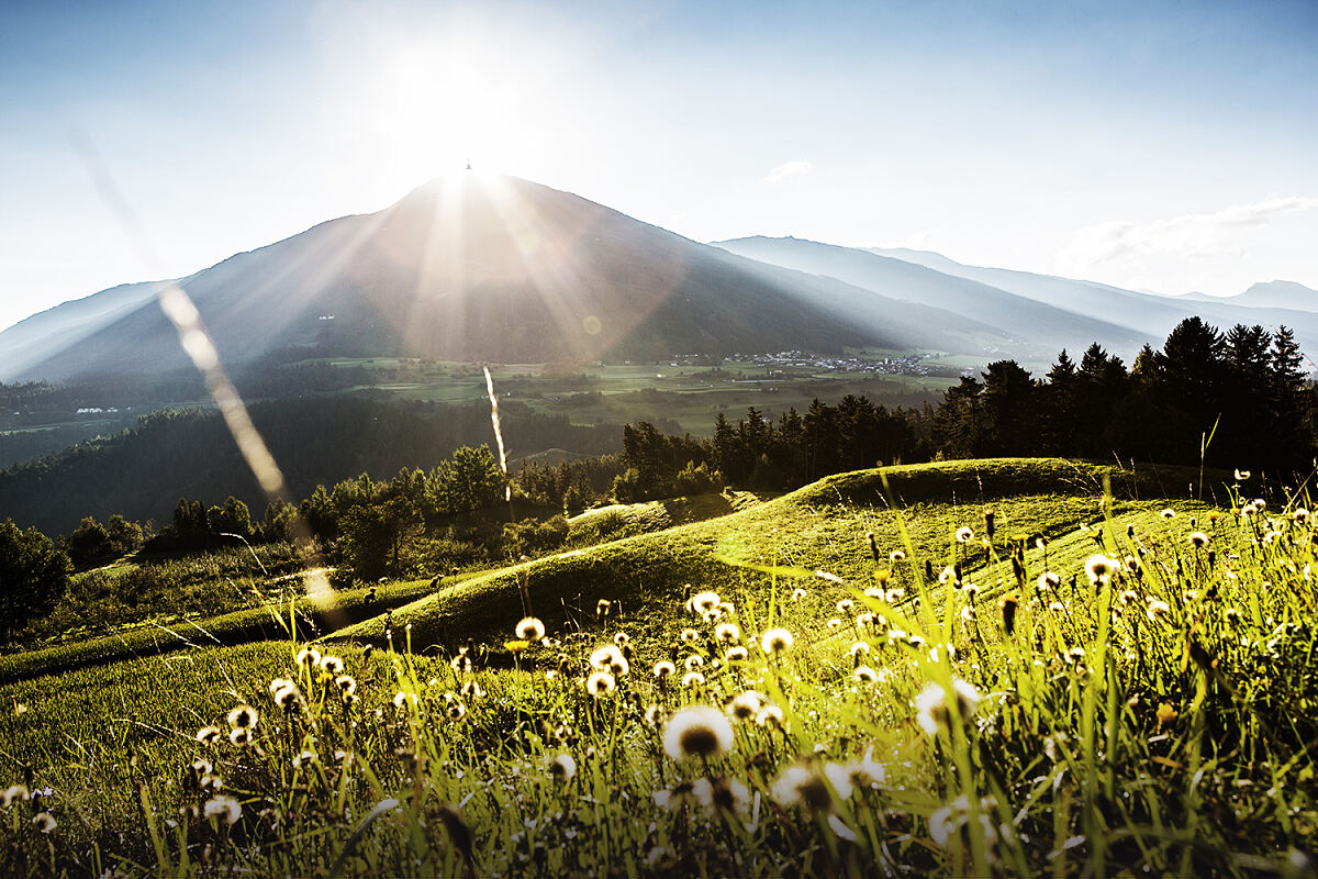 patscherkofel_sommer_web07