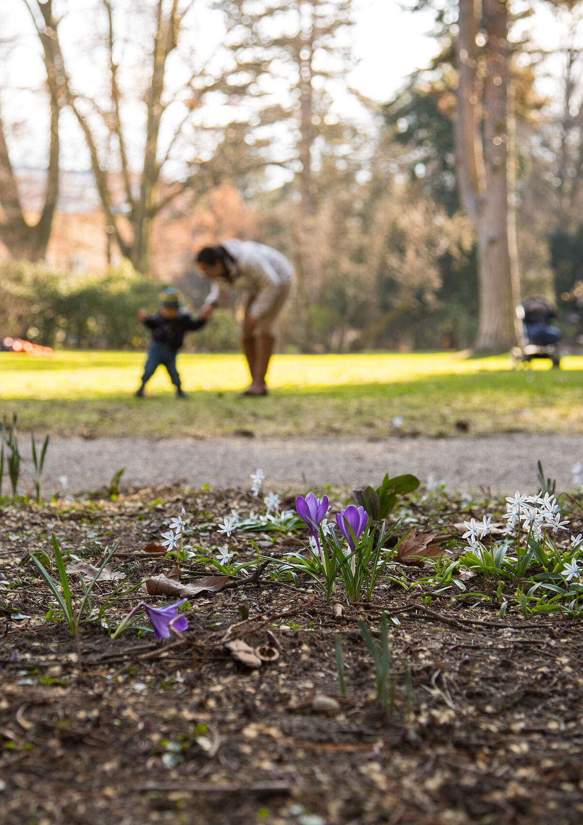 2016_manus04_titelbild