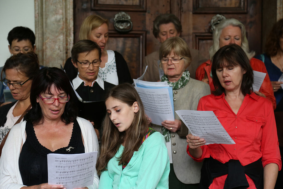 220616_singen2015_vl