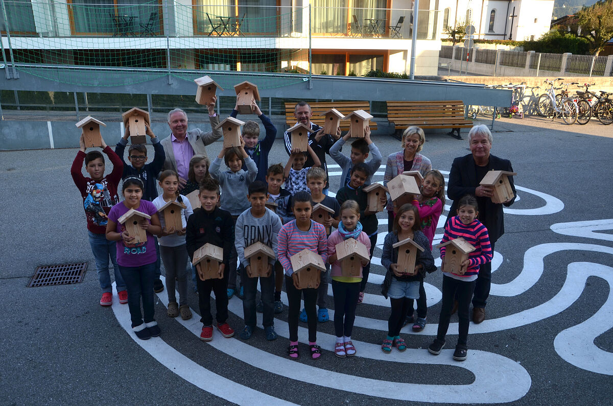 051016_vogelkistenvsamras_dh