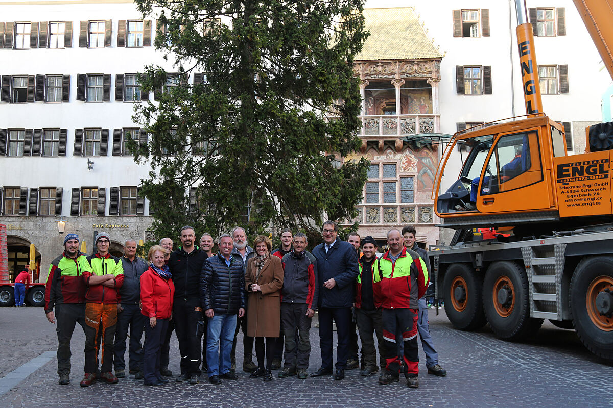 031116_christbaum_vl