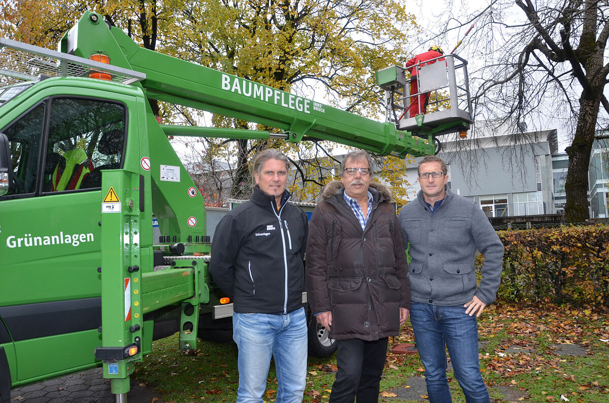 081116_baumpflege1_saku