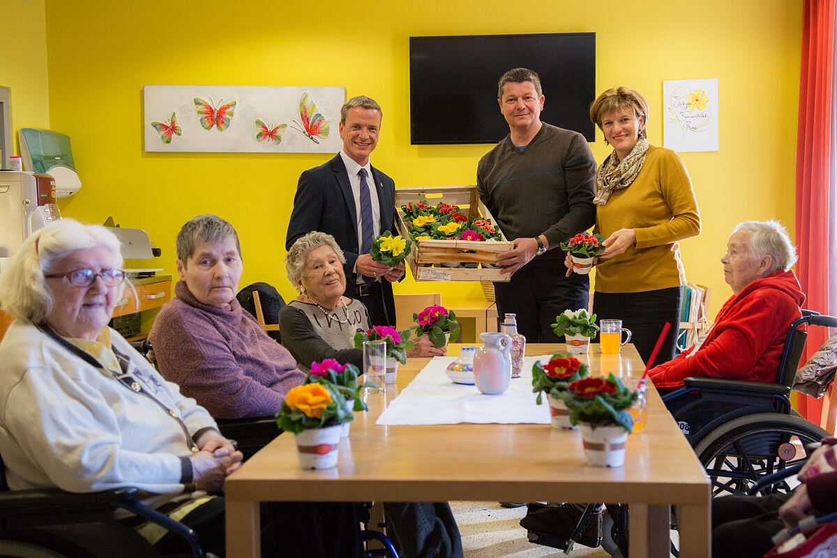 170214_valentinstag-primeln_vl