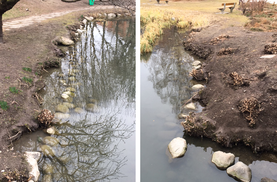 teichreinigung-rapoldipark