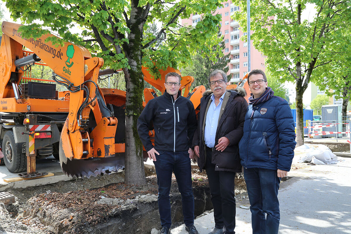 170418_grossbaumverpflanzung_vl-1