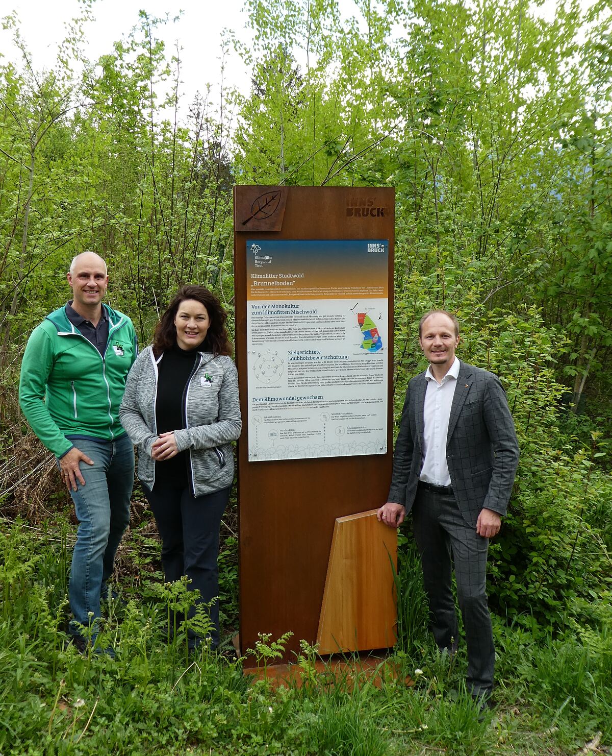 220523_bergwald-klimatop-brunnelboden-2_rike_barkmann