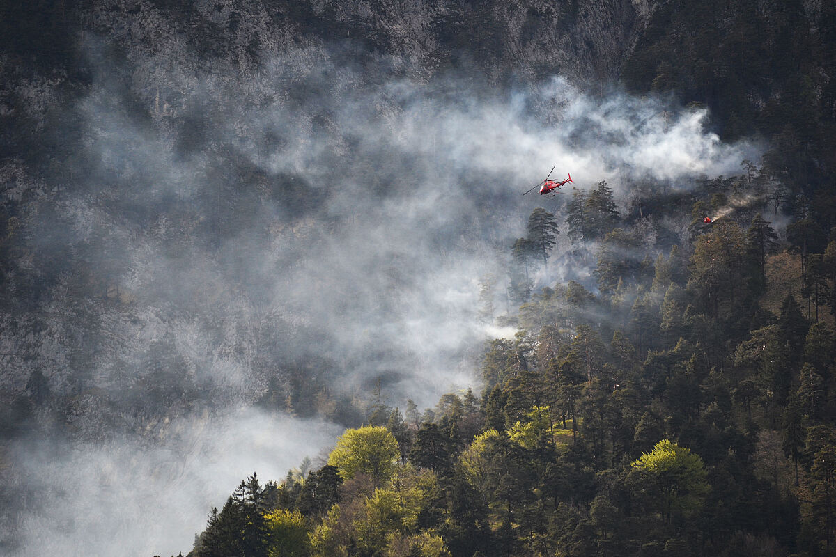 waldbrand_hechenberg_saku