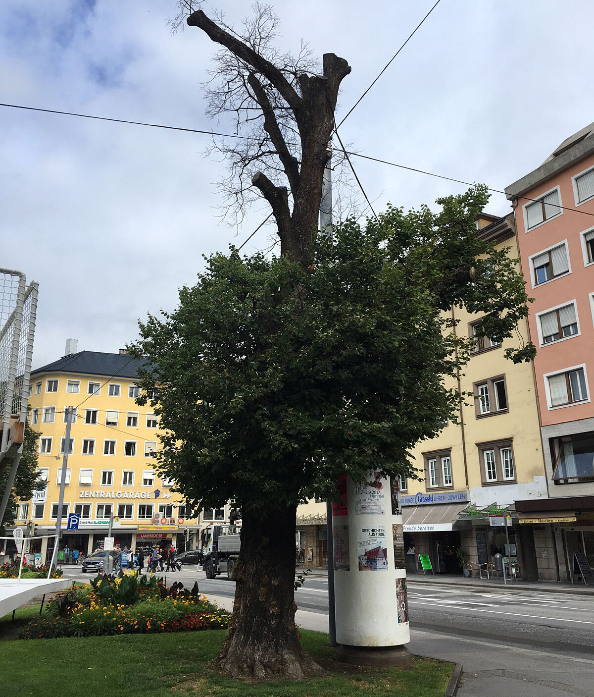 1707xx_bozner-platz-baum_n