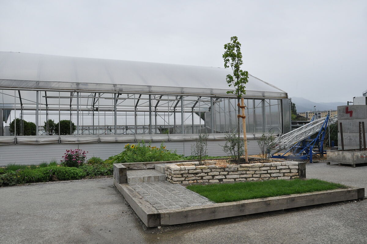 170817_lehrbaustelle-trientlgasse-3