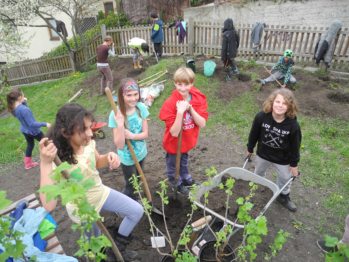 spielplatz-vereinsheim-hoetting-straeucher_julia-rose