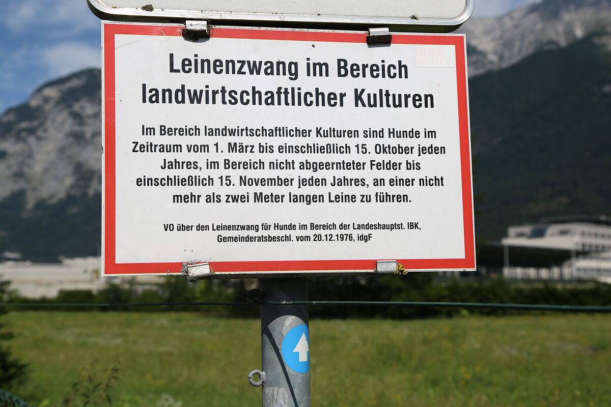 leinenzwang_hunde_verbot_verordnung