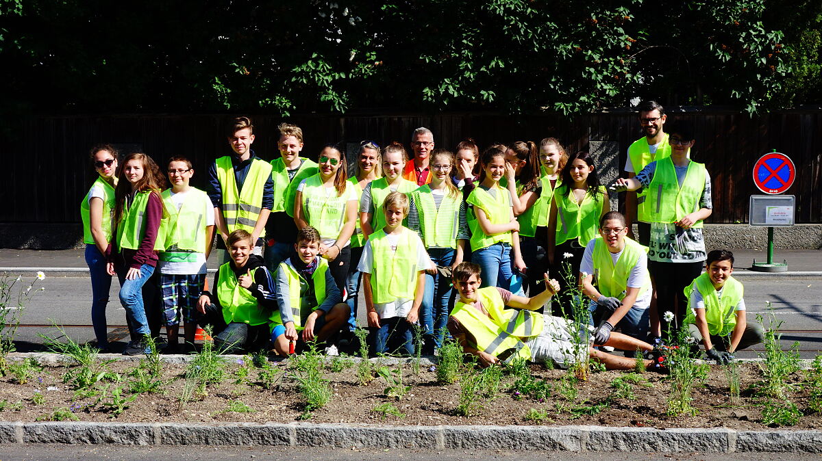 180525_bepflanzung_pastorstrasse