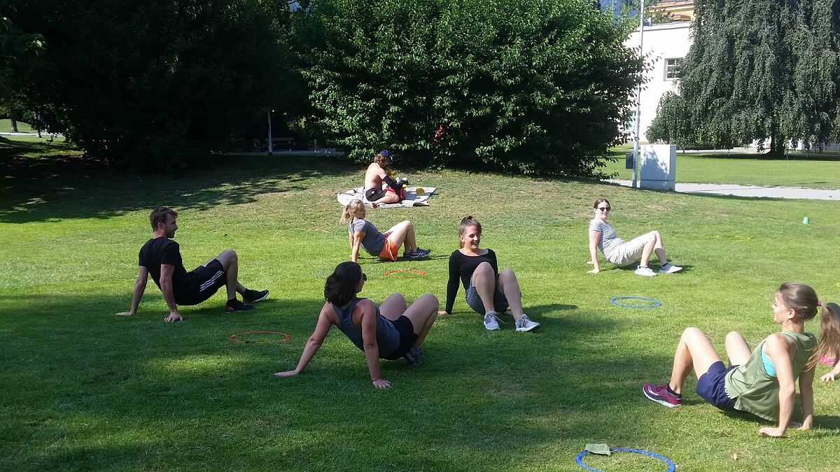 14_15_bewegt_im_park_spinne