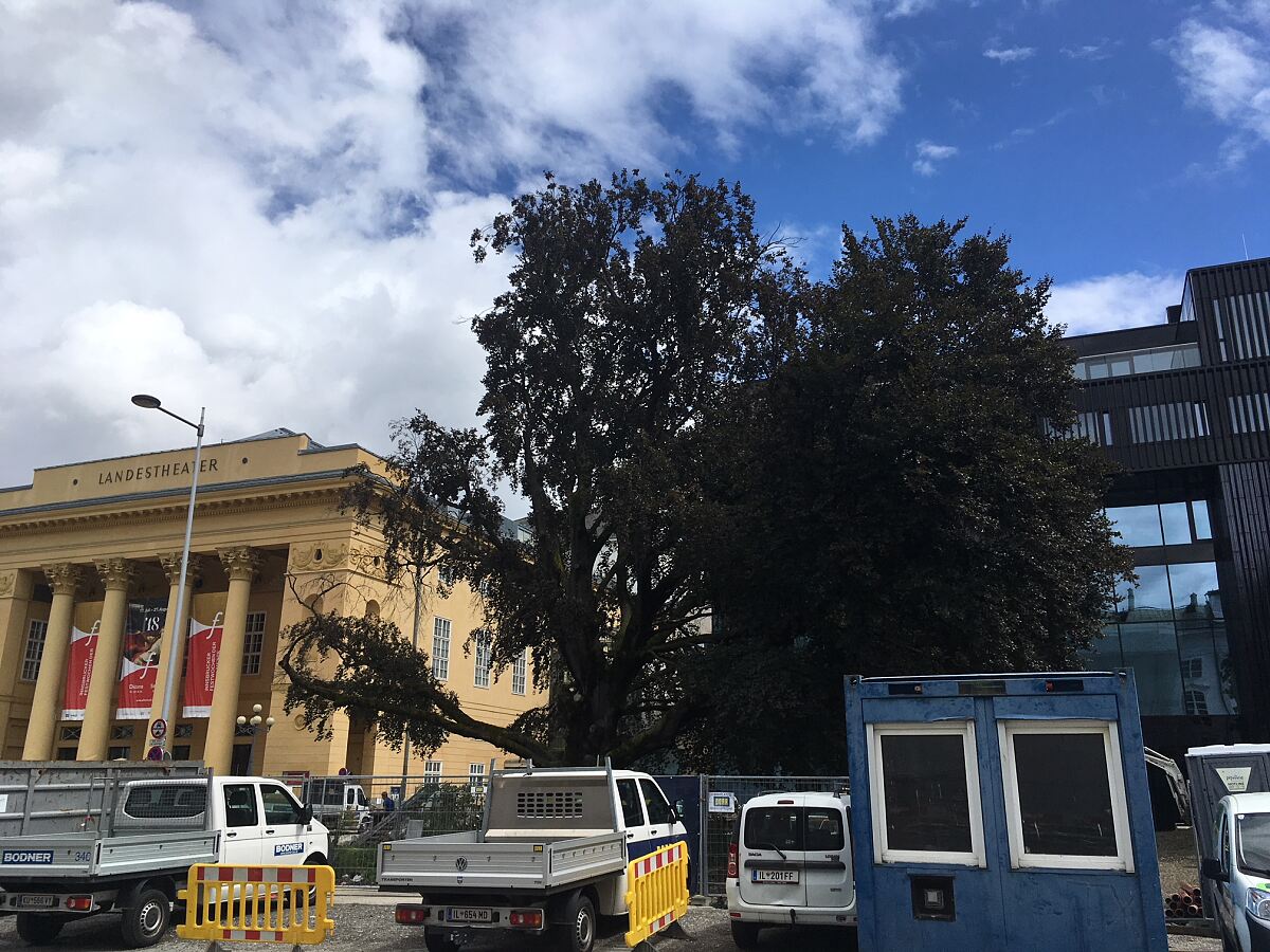 180816_rotbuche_landestheater_img_5325