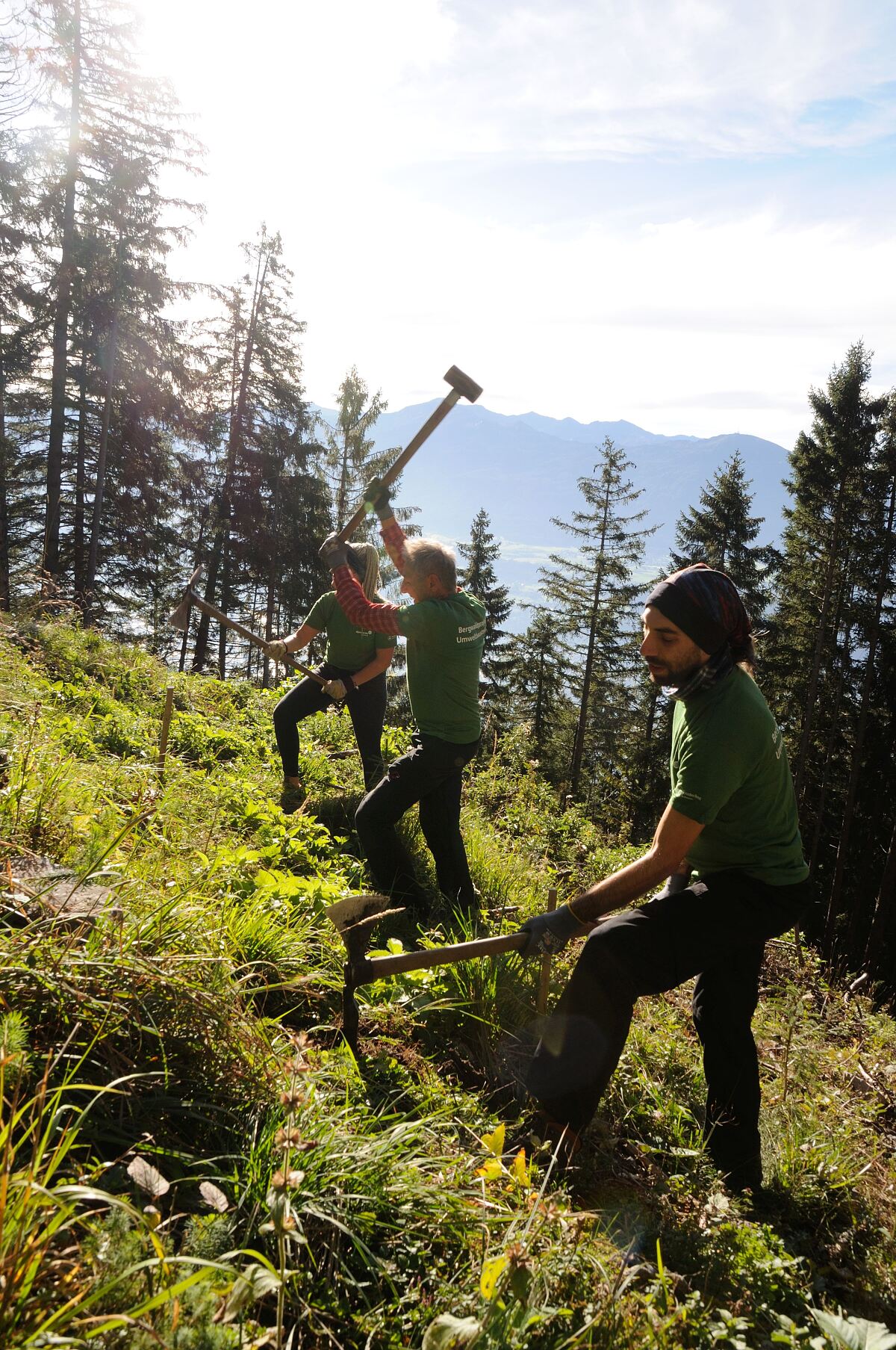 180927_bergwaldprojekt_bild_02_bildautor_roland-noichl