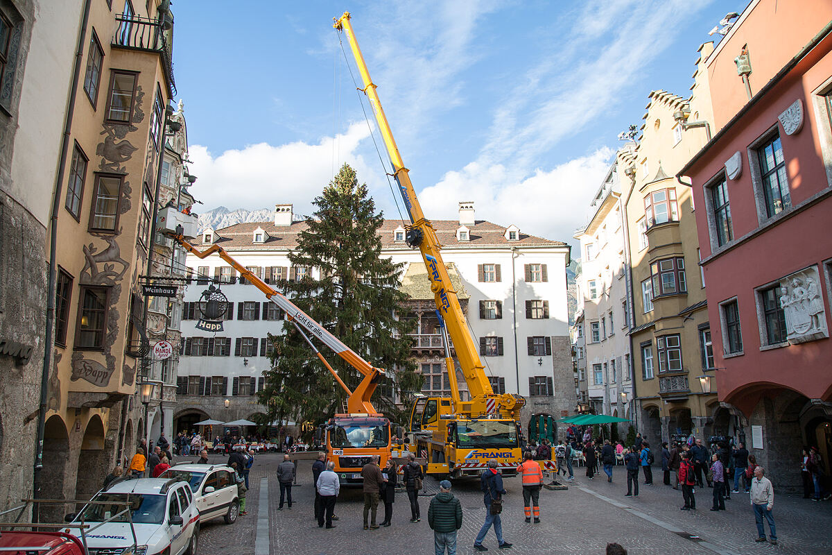 181105_christbaum-03_vlercher