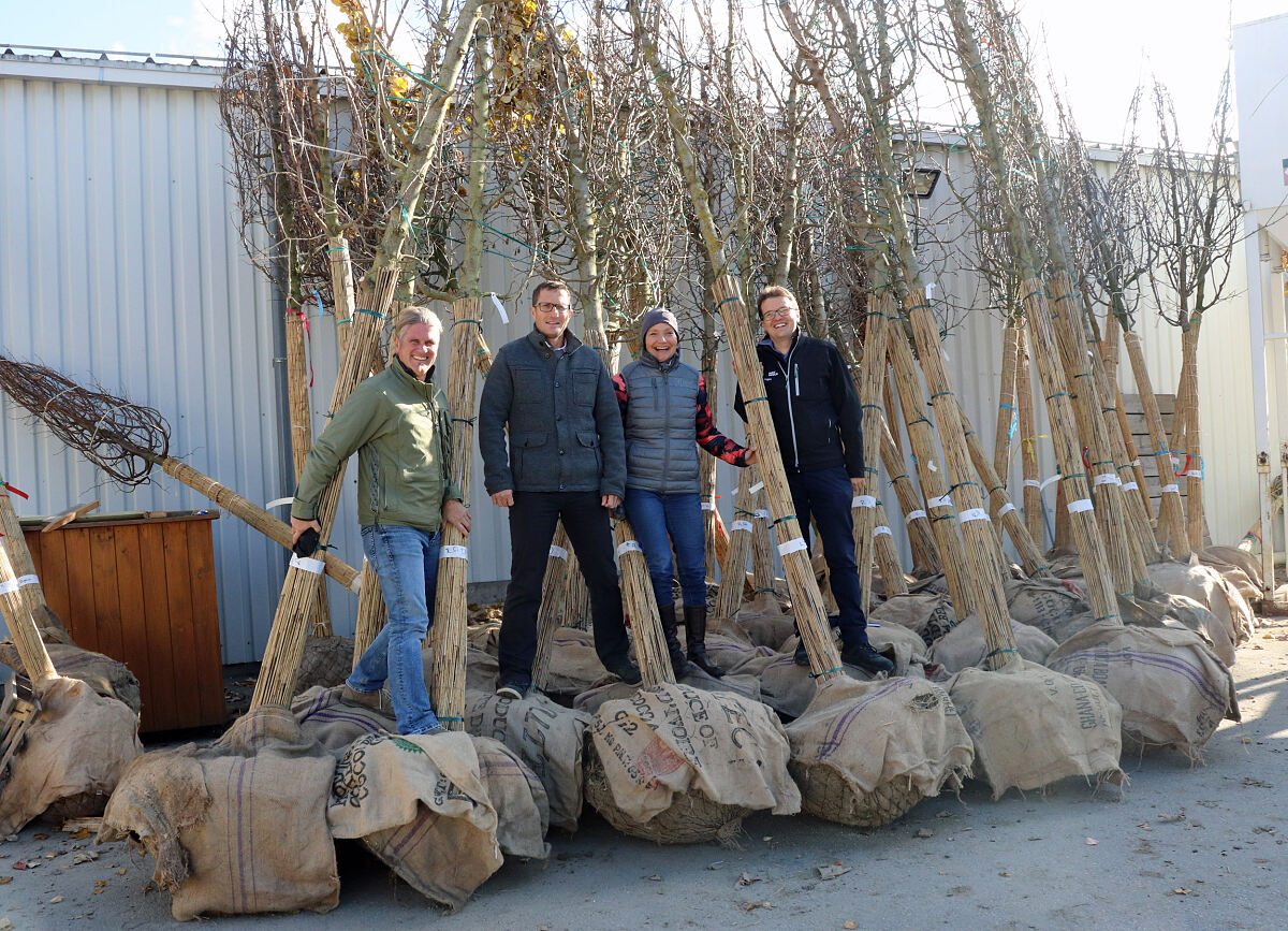 181121_herbstbaumpflanzung_dh