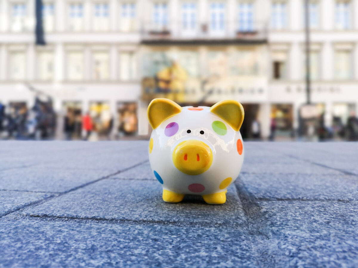 0607_budget_sparschwein-c-v-lercher