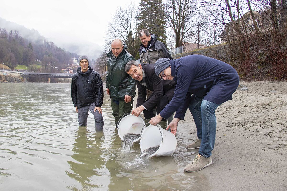 190315_aeschenbesatz_am_inn_rk