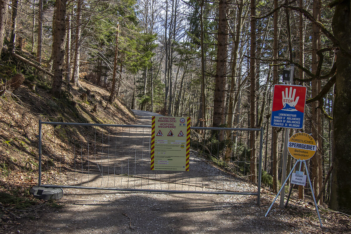 190416_forstarbeiten_arzler_alm_1_mf