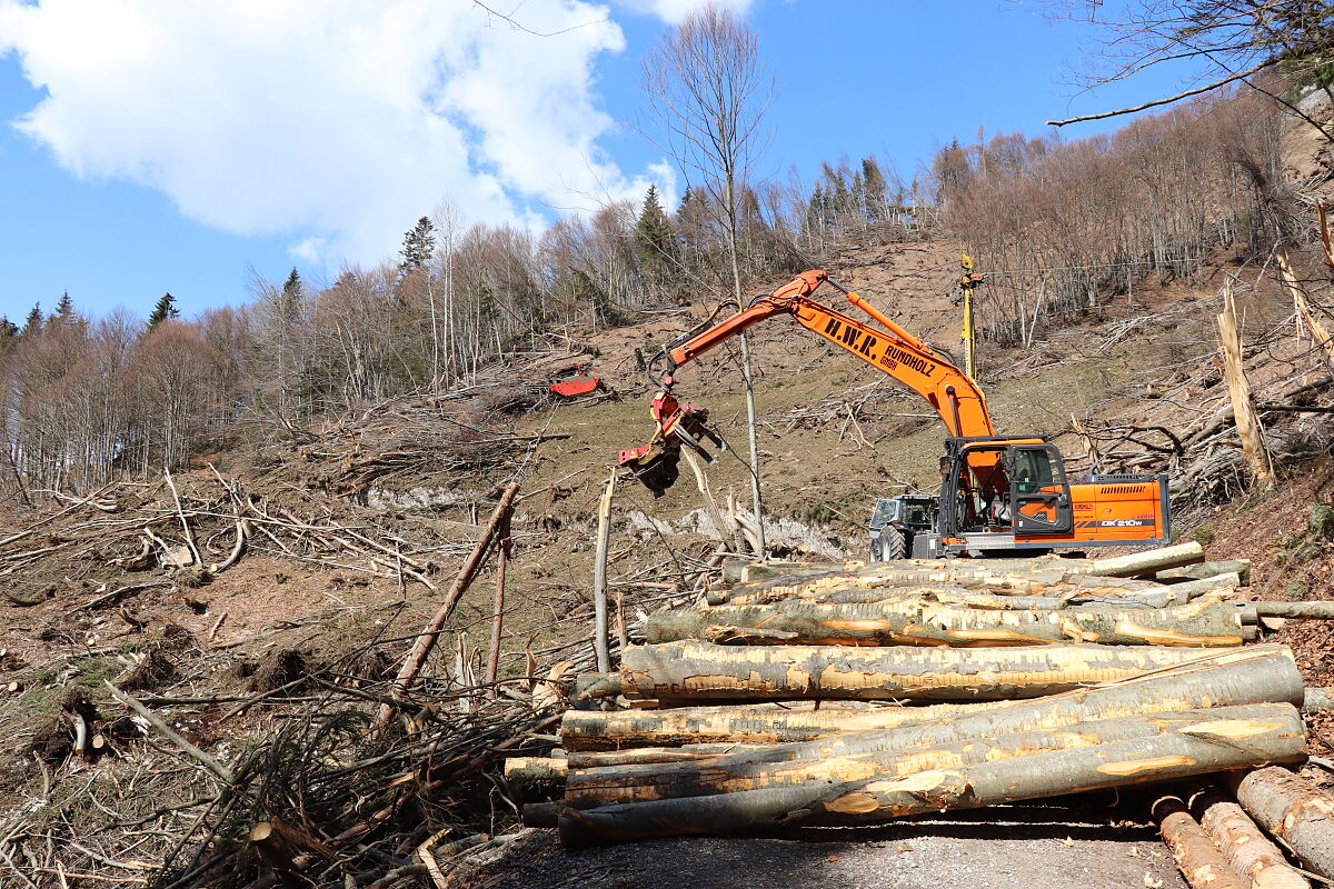 14_15_forstarbeiten_nach_dem_winter_gruber_mf