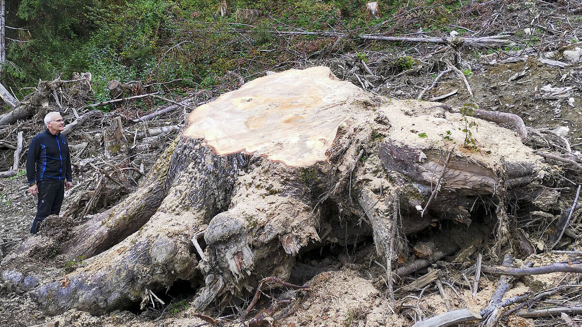 191031_lawinenarbeiten_nordkette_vl-7
