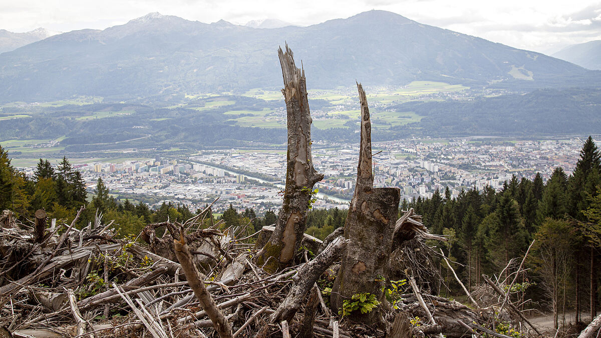 191031_lawinenarbeiten_nordkette_vl-3