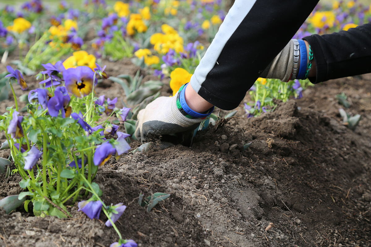 190816_glyphosat_gruenanlagen-1