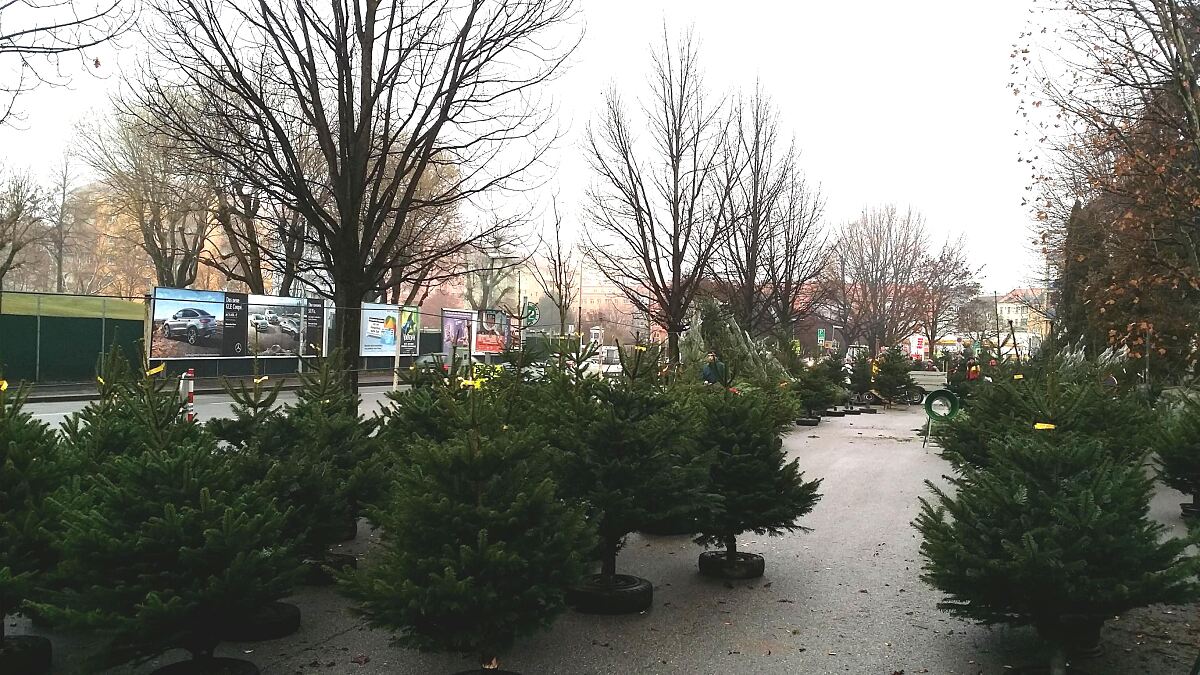 christbaummarkt