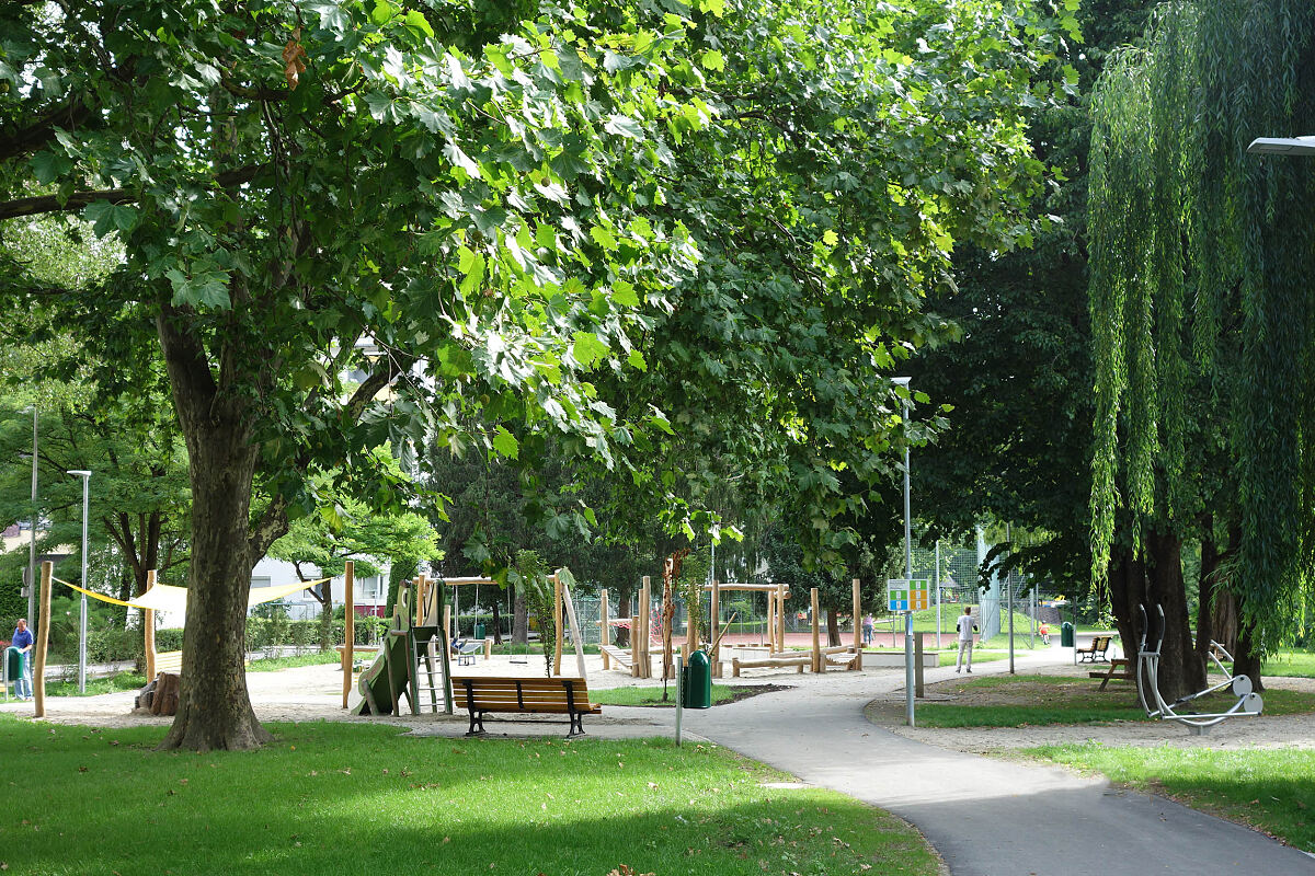 191223_positive-baumbilanz-2019