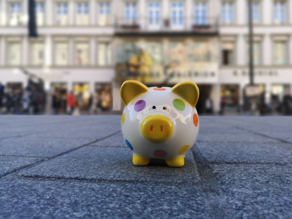 06_07_budget_sparschwein-c-v-lercher