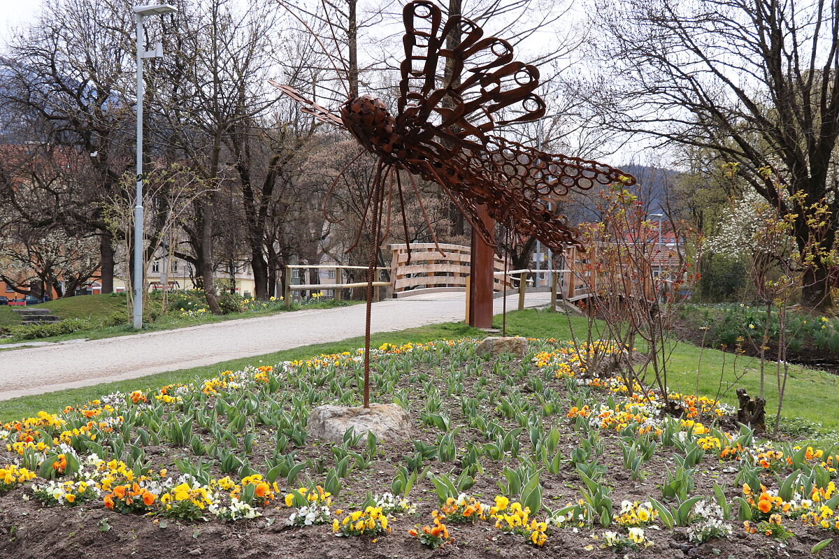 200331_rapoldipark_wg